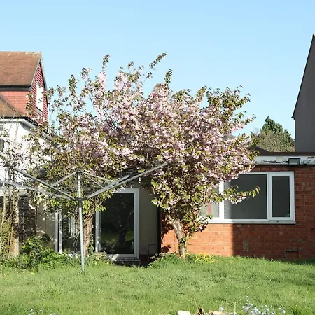 Cosy 3-Bed Bungalow Nec Airport Close To Amenities Birmingham Exterior photo